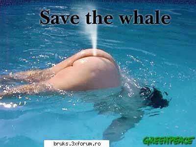 Poze - Save the wales! - Poze