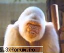 Poze - he's cute, very cute. Isn't he??? - Poze